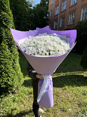 Букет-гигант из ромашковых хризантем