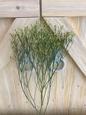 Лимониум микс